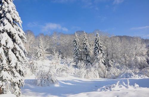 Faucompierre House | Relax at Le Reve de Charles: Family-Friendly Bliss