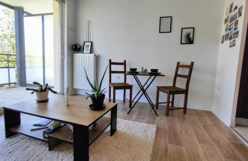 Poteries Apartment | Le Salluste cosy T2 with balcony in Strasbourg