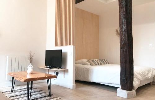 Auch Apartment | Historic Stay at Le Seize - Family-Friendly Studio in Auch