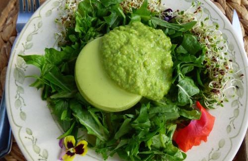 Le Monteil-au-Vicomte Bed & Breakfast | Discover Le Shamballa: Family-Friendly with Great Dining