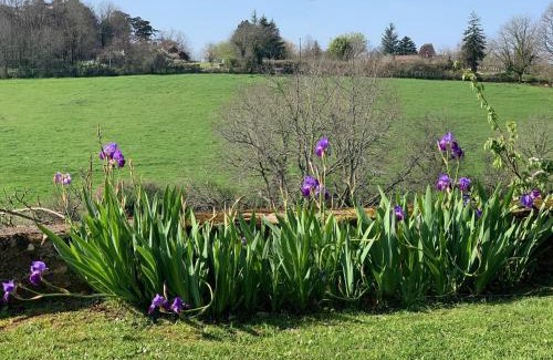 Badefols-sur-Dordogne Bed & Breakfast | Discover Le Sizel: Family-Friendly with Pool Access