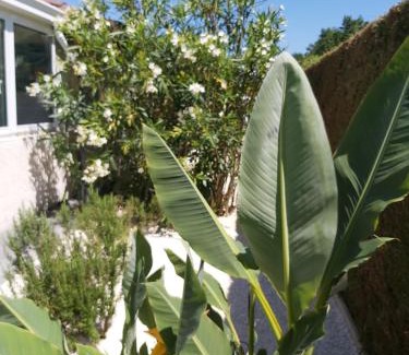Angresse Bed & Breakfast | Oceanfront Bliss at Le Soleil Couchant - Rated 9.3/10