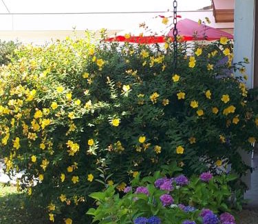 Angresse Bed & Breakfast | Oceanfront Bliss at Le Soleil Couchant - Rated 9.3/10