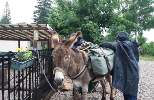 Chasserades Other | Discover Le Sous Bois De Jade: Family-Friendly Retreat
