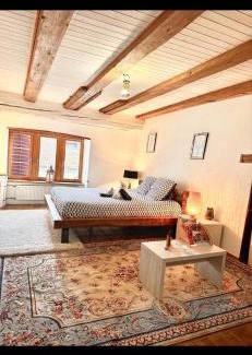 Delemont Apartment | Exceptional Studio in Historic District - Guest Rated 10/10