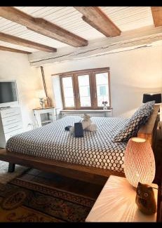 Delemont Apartment | Exceptional Studio in Historic District - Guest Rated 10/10