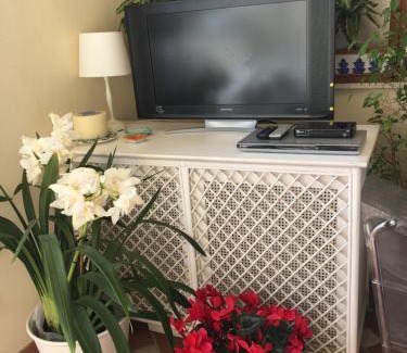 Camilluccia Apartment | Discover Le Terrazze della Farnesina - Gemelli Roma Retreat