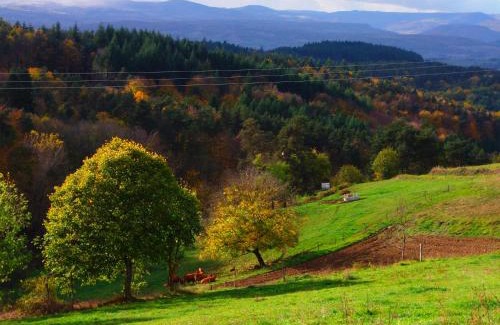Auzon Communaute Bed & Breakfast | Eco-Friendly Retreat at Le Vallon d'Armandine, Auvergne