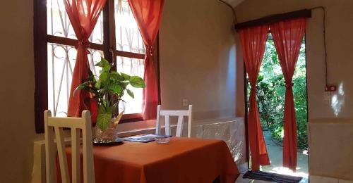 Antsiranana Hotel | Pet-Friendly Le Village Diego with Oceanfront Pool & Dining
