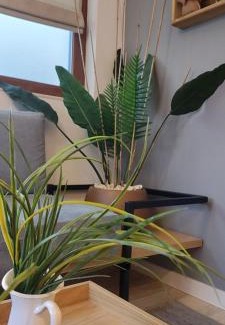 Blagoevgrad Apartment | Leaf apartment