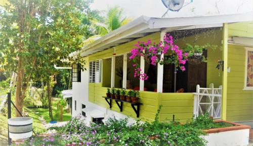 Trinidad Cabin | Eco-Friendly Leatherback Lodge B&B with Pool & Dining
