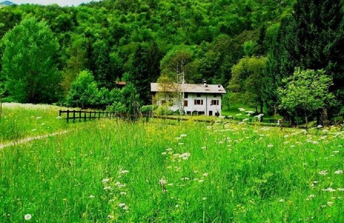 Val Maria-Pur Apartment | Experience Ledro: Pet-Friendly Retreat Near the Lake