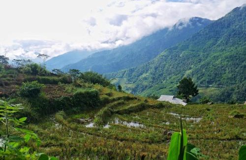 Sa Pa House | Exceptional Lee's Homestay: Guest Rated 9.8 with Breakfast