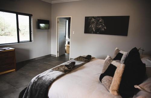 Tokologo House | Unforgettable Leeuwkop Hunting Safaris with Pool & Kitchen