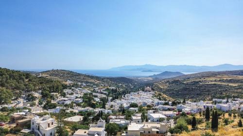 Lefkes Villa | Unforgettable Views and Poolside Relaxation in Lefkes