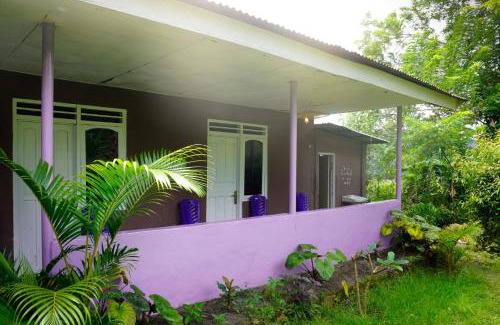 Moni House | Budget-Friendly Legend Guest House with Kitchen Amenities
