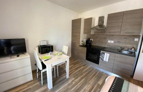 Bourg-en-Bresse Apartment | Discover Legend: Free Parking, Private Terrace & Wifi