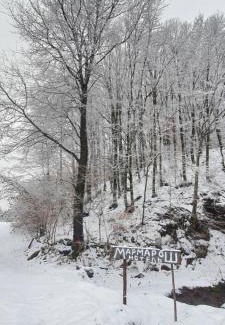 Nyzhnje Selyshche Hotel | LeGora