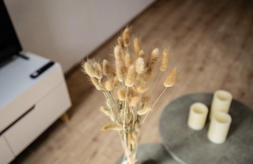 Nordwest Apartment | Discover Pet-Friendly Comfort at LeHaStays - Apartment Linkel