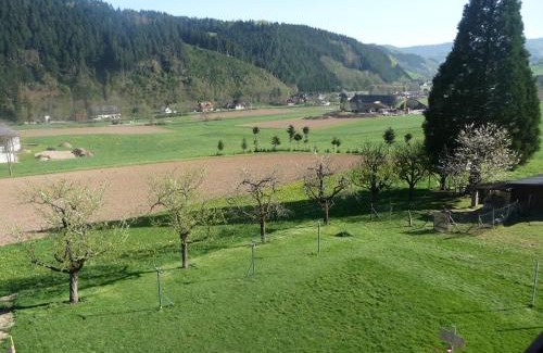 Zell am Harmersbach Apartment | Discover Family-Friendly Comfort at Lehmannshof Ferienwohnungen