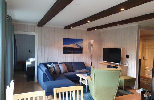 Atra Apartment | Pet-Friendly Leilighet Gaustablikk with Great Amenities