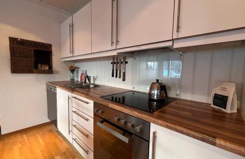 Nore og Uvdal Apartment | Scenic Uvdal Apartment with Pet and Child-Friendly Amenities