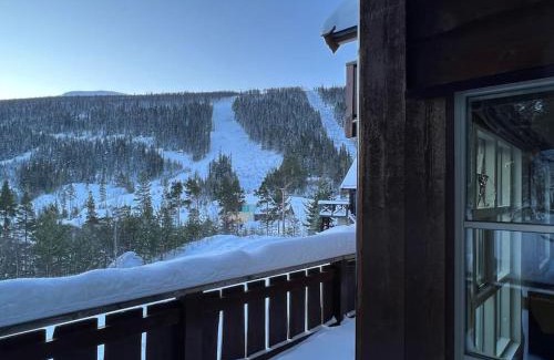 Nore og Uvdal Apartment | Scenic Uvdal Apartment with Pet and Child-Friendly Amenities