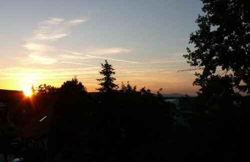 Leiselheim Hotel | Pet-Friendly Retreat at Leiselheimer Hof with Family Amenities