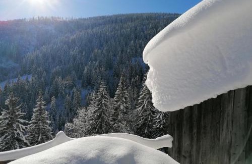 Donnersbach House | Family-Friendly Retreat at Leitnerbauer's Troadkasten