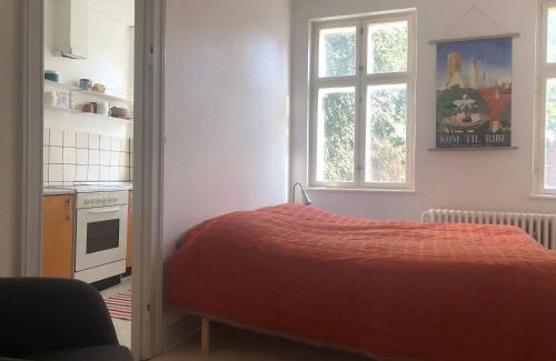 Ribe Apartment | Discover Ribe: Family-Friendly Apartment in City Center