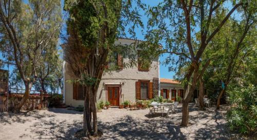Mithimna Apartment | Discover Eftalou Olive Grove: Oceanfront & Pet Friendly Stay