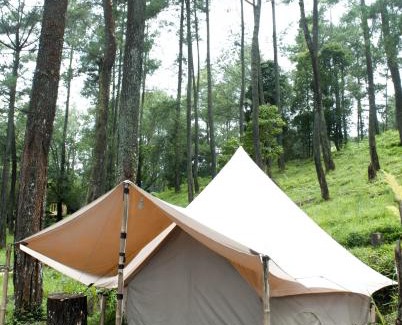 Cikole Other | Lembah Pinus Cikole