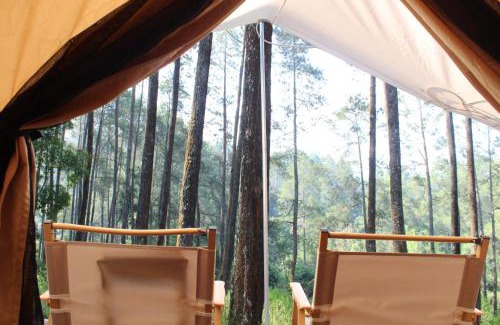Cikole Other | Lembah Pinus Cikole