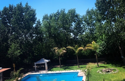 Vistalba Apartment | Lemon Tree Hostel Mendoza Argentina