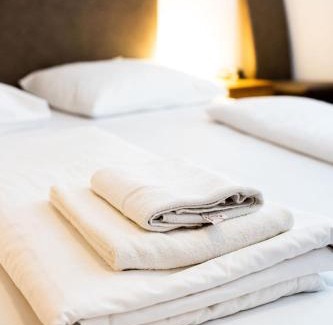 Donaustadt Hotel | Discover Lenas Donau Hotel: Pet-Friendly & Accessible Stay