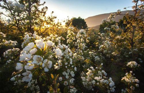 Barrydale Bed & Breakfast | Child-Friendly Retreat at Lentelus Farmstay - Rated 9.4/10