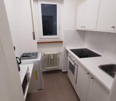 Mattenhof-Weissenbuhl Apartment | Pet and Child Friendly at LentulusSky Appartement 8.5/10