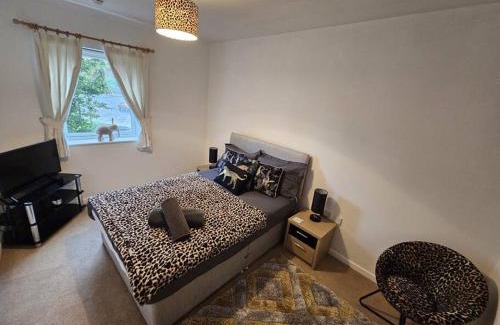 Warrington Apartment | Family-Friendly Leopard in Dutton Warrington Awaits You