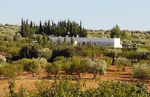 Conversano Villa | Enchanting Leralora Villas: Poolside Retreat in Nature