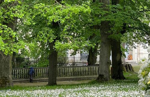Boissy-Saint-Leger House | Beautiful Farm Stay 17km from Paris with High Guest Ratings