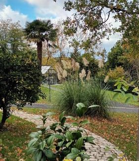 Seigy Bed & Breakfast | Les 2 Ginkgos à 5 minutes de Beauval