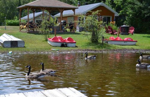 Chute-Saint-Philippe Ski Chalet | Experience Les 4 Chalets - Le 609: Pet-Friendly Retreat