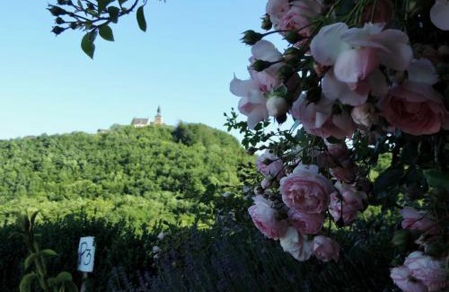 Bar Bed & Breakfast | Pet Friendly Retreat at Les 5 Petits Lapins – Rated 9.3/10