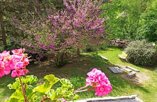 Polignac Apartment | Guest Rated 9.1: Les Apparts du Vignal de Cheyrac
