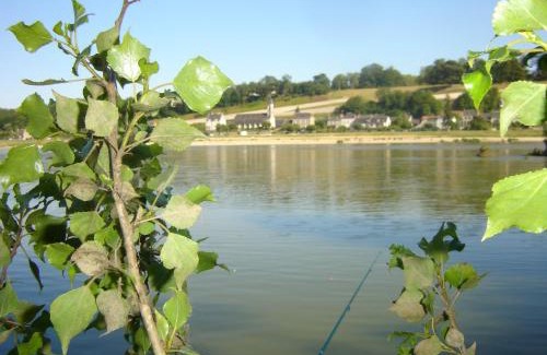 Veuves Apartment | Discover Les Bords de Loire: Family-Friendly Retreat
