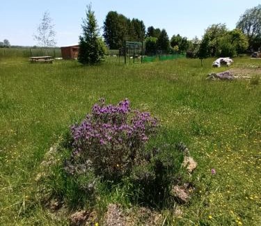 Foucheres Other | Pet-Friendly Oceanfront Retreat at Les Cabanes d'Hérande