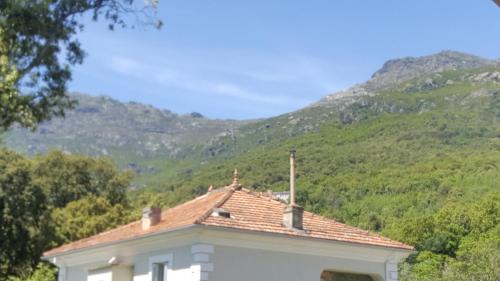 Pietracorbara Apartment | Cozy Pietracorbara les Chênes with Oceanfront Hot Tub