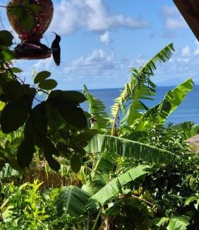 Riviere-Pilote Apartment | Les chalets Colibris - Anse Figuier