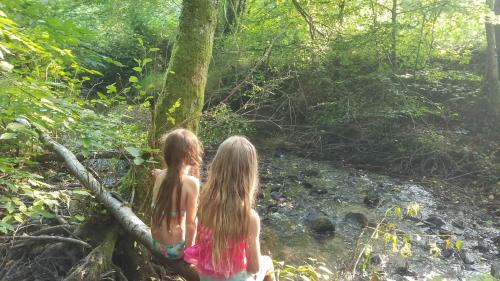 Payzac Ski Chalet | Explore Les Chalets Du Moulin Du Châtain: Family & Pet Friendly