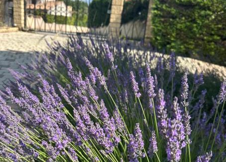 Donzere Apartment | Oceanfront Escape at LES CLÉMATITES - Guest Rated 9.3/10